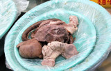 Bovine Offal: a lung, a bung, a tongue 051.jpg