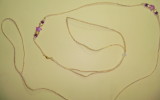 Lead 23 -Gold and White cord with purple star beads