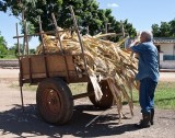 Sugar Cane Husks