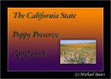 California Poppy Preserve