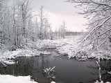 P2262391bw d web.jpg