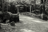 Bridge in Acadia