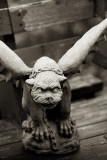 The Resident Gargoyle