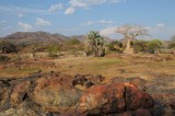 Rgion de Epupa, le long de la rivire Cunene