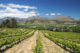 Rgion de Franschhoek, Afrique du Sud