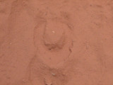 arizona2007 337.jpg