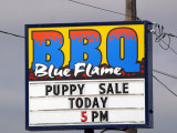 Yum! BBQ Puppy!