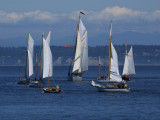 Sunshine! A Gentle Breeze! Sailing! Perfect!