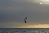 Dungeness Bay Kite