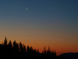 Spring Moon Rising