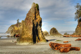 Ruby Beach 33
