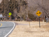 Buggy Crossing