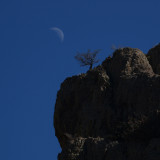 The Canyon Moon