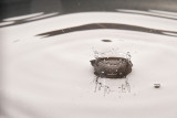 _D326154.jpg