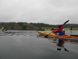 In i nordströmmarna