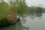 Xixi Wetland Park DSC_0042.JPG