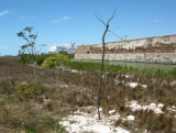 Fort Zachary Taylor