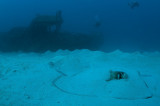 Stingray in front of Mary L wreck
