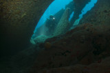 Diver on propeller of RMS Rhone