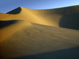 Dune #2