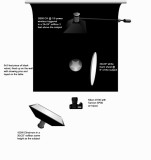 Lighting setup for shooting flowers on a black background