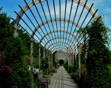  Arbor