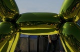 Balloon Dog