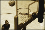 Hoping for a Metal Basket