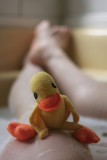 Seventh Place<br>Squeak-y Clean<br>by Lisa Marie