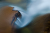River Impressions I