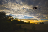 SkyCrane