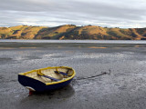 Tide