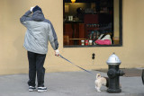 Walkies
