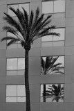 3rd Place<br>reflections<br>by d.tallakson
