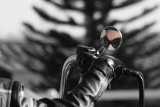 6th Place (tie) <br>Road Warrior <br> by  Markjay