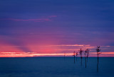 Rocky Point Sunset