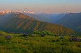 Hurricane Ridge - 1