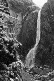 Lower Yosemite Fall