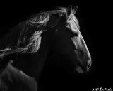 Equal 9th Place<br>Into the Light<br>Jim Thode