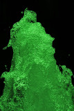 Water Stalagmite