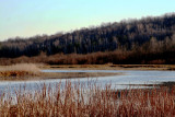River