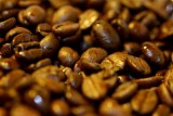 fresh roasted