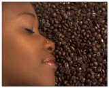 Coffee Dreams