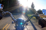 Into the Sun