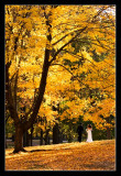 An Autumn Evening : 7th Place