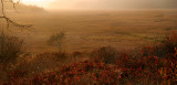 Salt Marsh Sunset