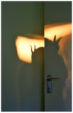 backlit shadow