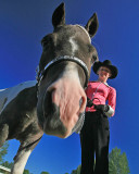 Mini Horse - Tall Girl
