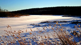 Frozen River
