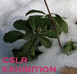 EXHIBITION - Grounded